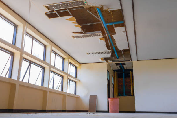  K I Sawyer, MI Water damage restoration Pros