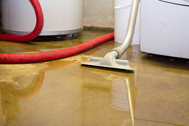 Best Flood damage cleanup  in K I Sawyer, MI